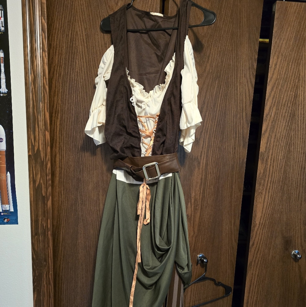 Beer maiden costume